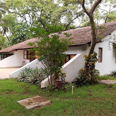 Banyan House - Luxurious 4 Bedroom Villa On One Acre, Near The Beach Nagaon  Zewnętrze zdjęcie