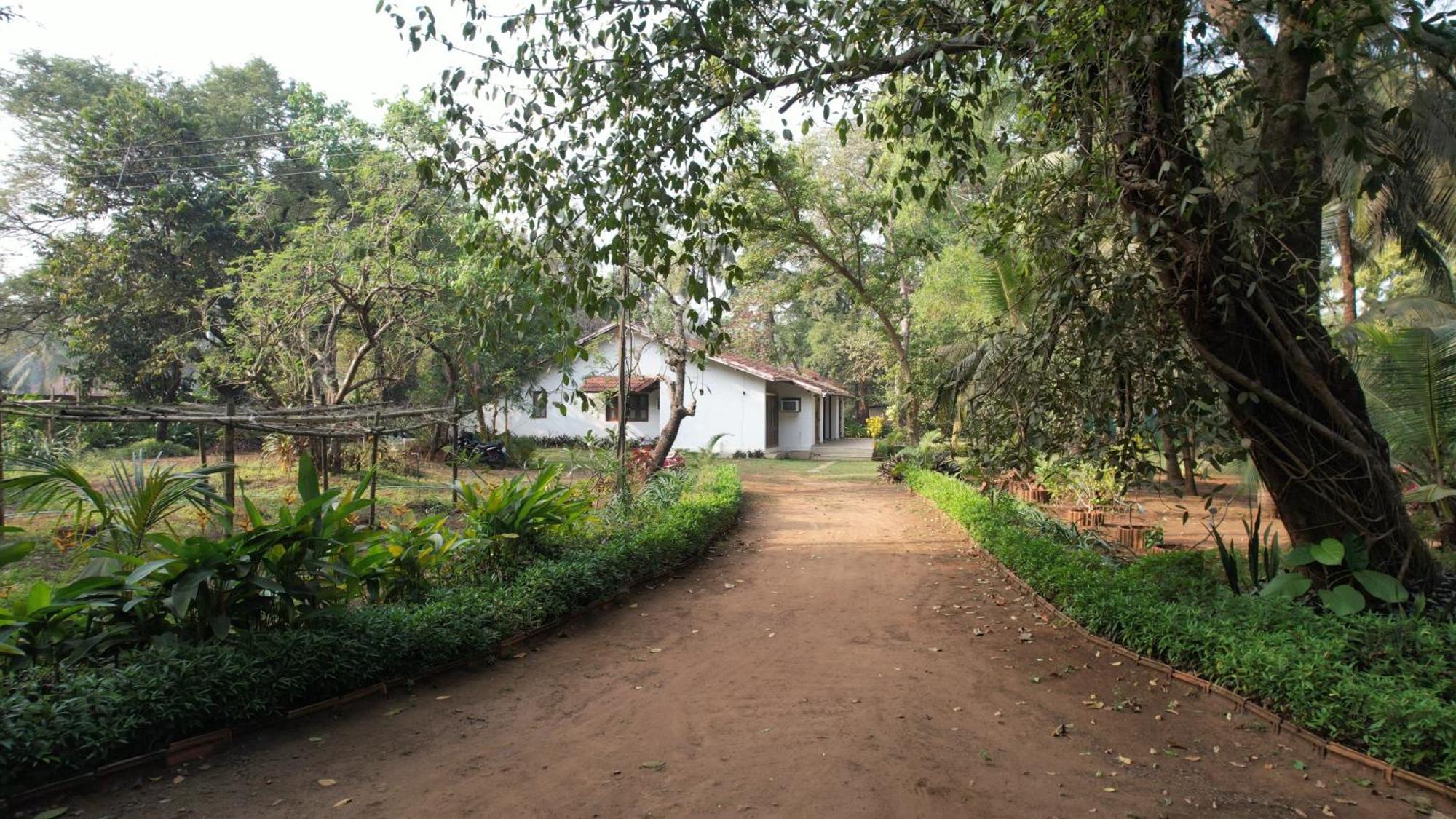 Banyan House - Luxurious 4 Bedroom Villa On One Acre, Near The Beach Nagaon  Zewnętrze zdjęcie
