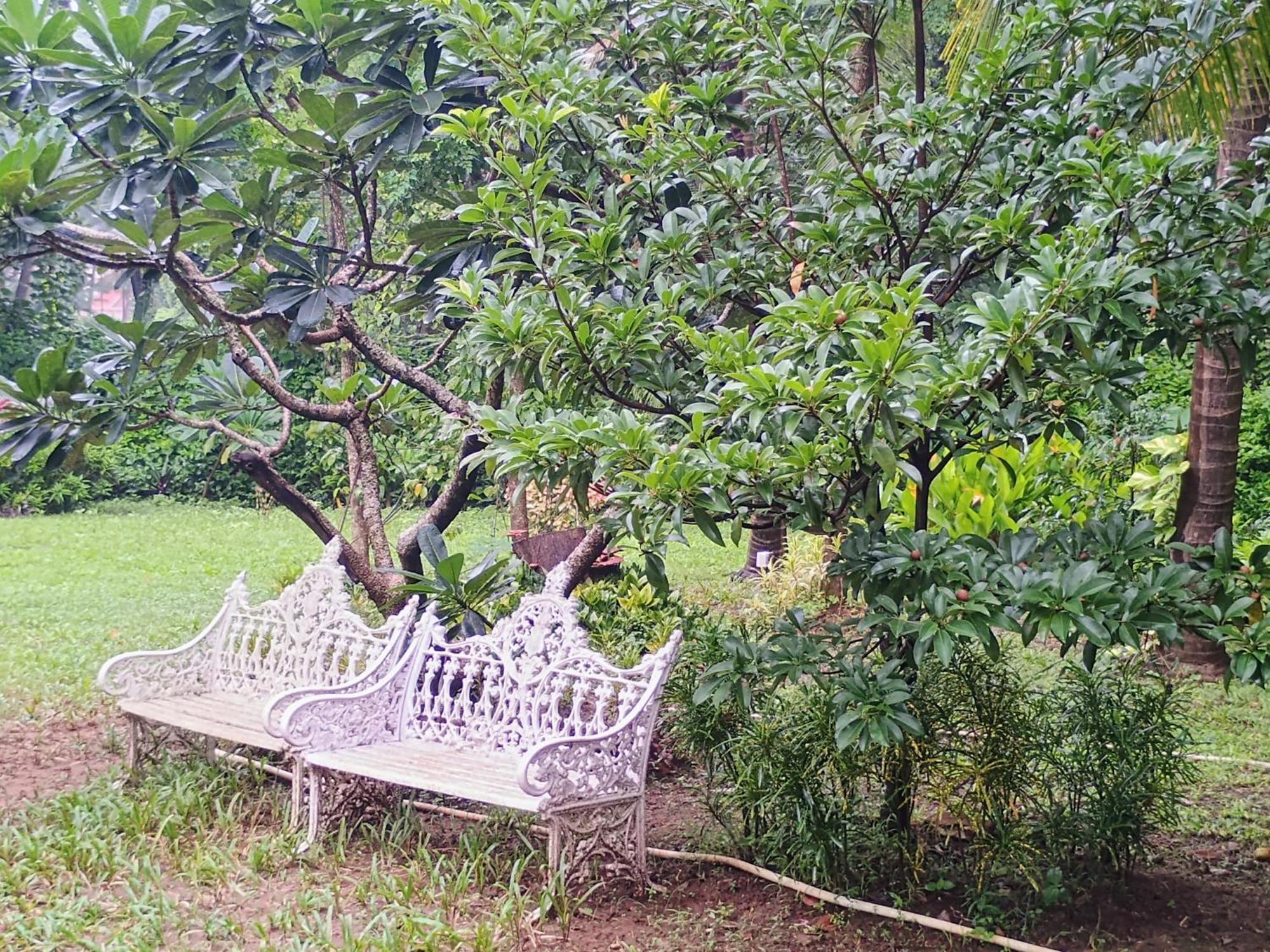 Banyan House - Luxurious 4 Bedroom Villa On One Acre, Near The Beach Nagaon  Zewnętrze zdjęcie